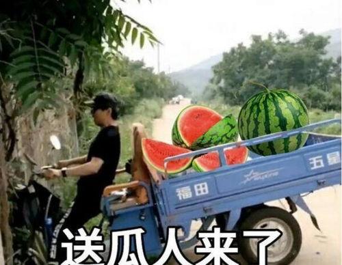 最近大瓜事件,揭秘明星隐私风波背后的真相 第1张 最近大瓜事件,揭秘明星隐私风波背后的真相 第1张